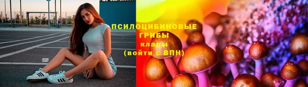 прущие крисы Новозыбков