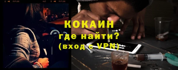 прущие крисы Новозыбков