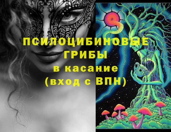 соль ск Вязники