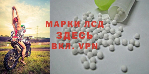 прущие крисы Новозыбков