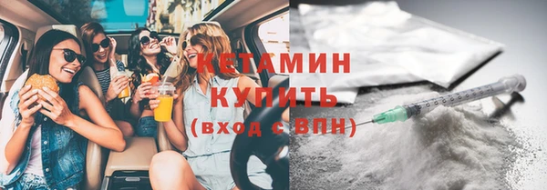 прущие крисы Новозыбков