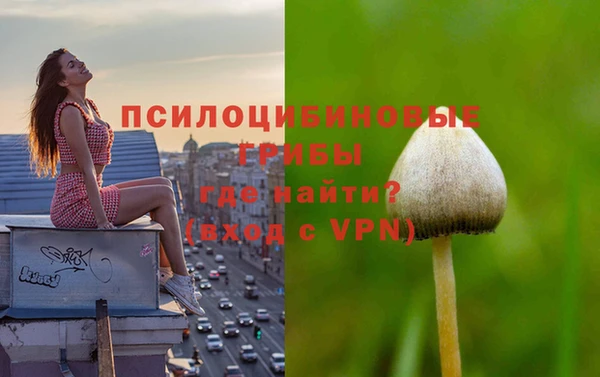 мяу мяу кристалл Новодвинск