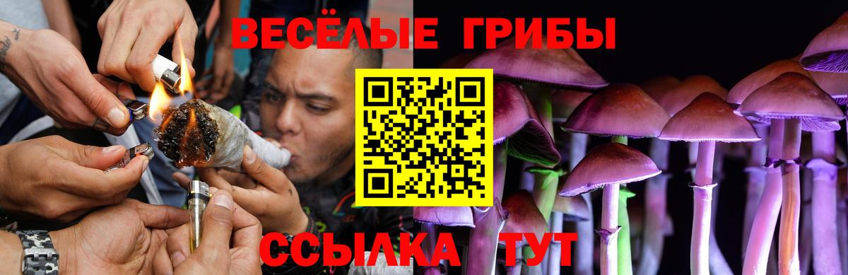 Конаково  Псилоцибиновые грибы мухоморы  Псилоцибиновые грибы Psilocybe  Вход с VPN 